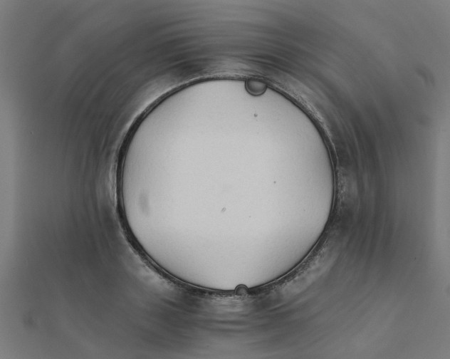 X0000111230843200907301244