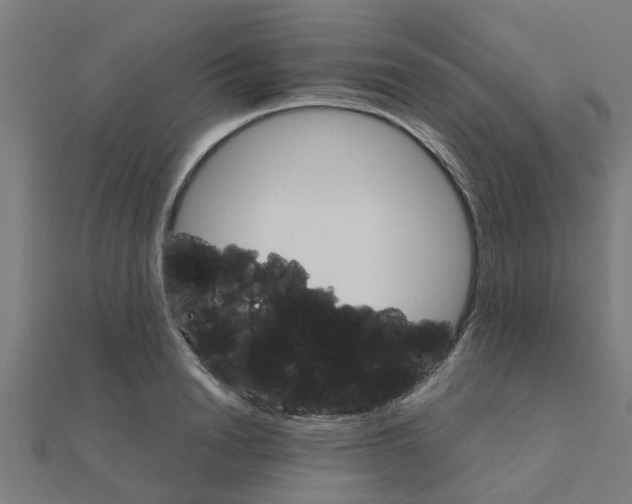 X0000111230846200907301244