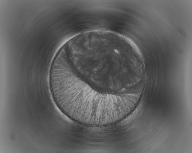 X0000111230847200907301244