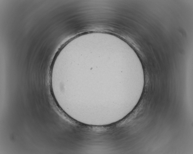 X0000111230848200907301244