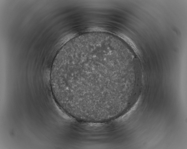 X0000111230849200907301244