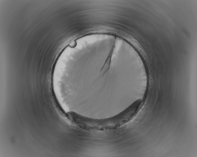 X0000111230850200907301244