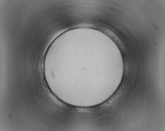 X0000111230852200907301244