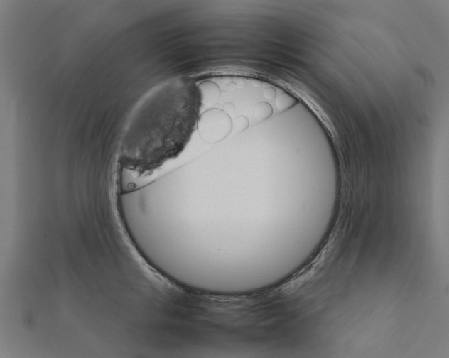 X0000111230853200907301244