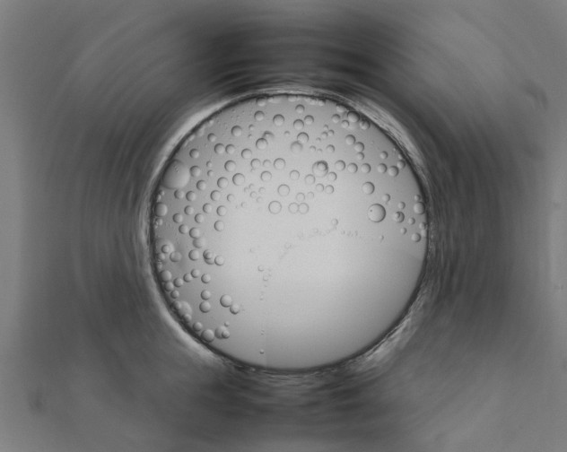 X0000111230855200907301244