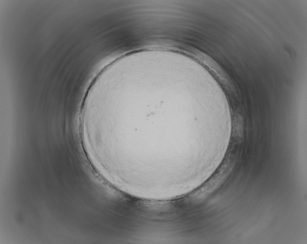 X0000111230856200907301244