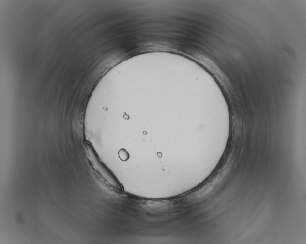X0000111230857200907301244