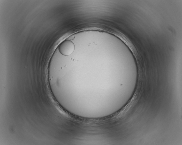 X0000111230858200907301244