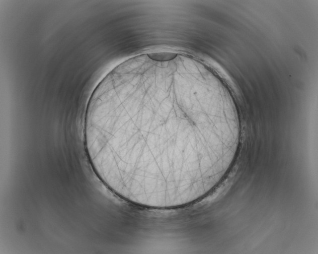 X0000111230860200907301244