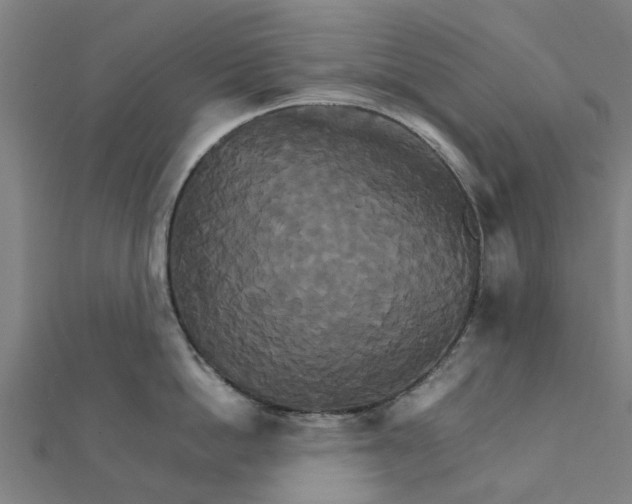 X0000111230862200907301244