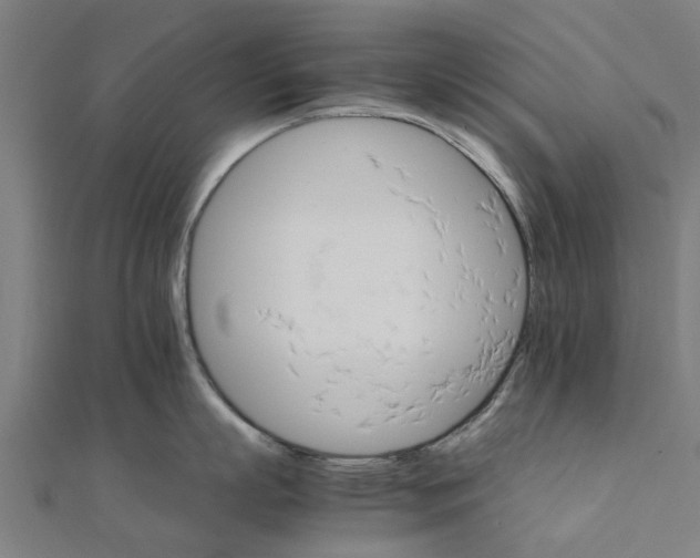 X0000111230863200907301244