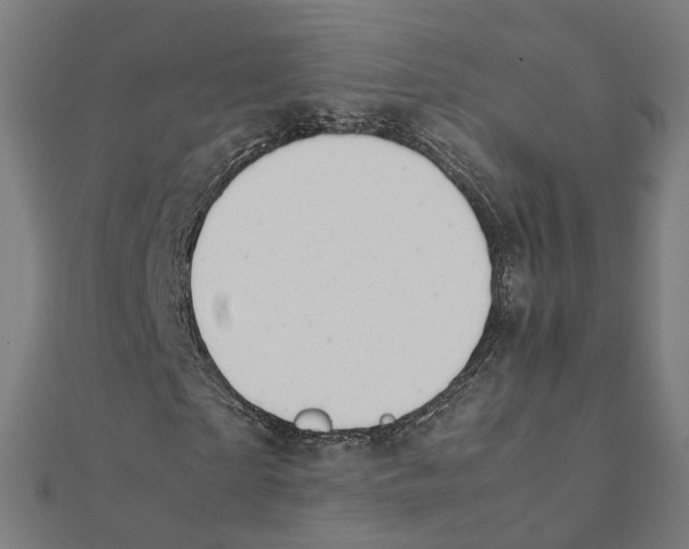 X0000111230865200907301244