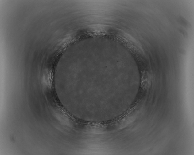 X0000111230866200907301244