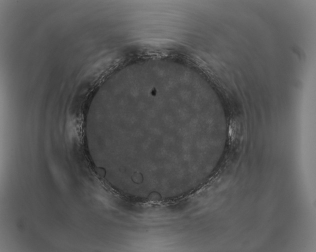 X0000111230867200907301244