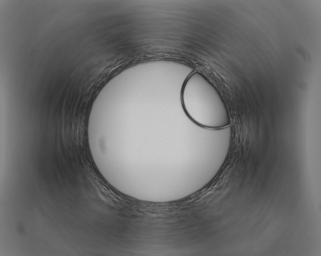 X0000111230868200907301244