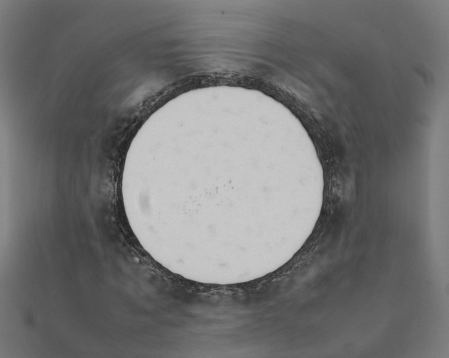 X0000111230869200907301244