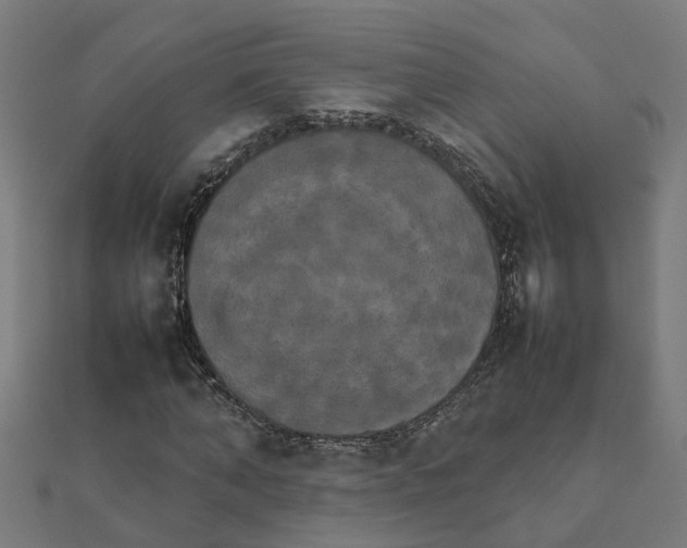 X0000111230870200907301244