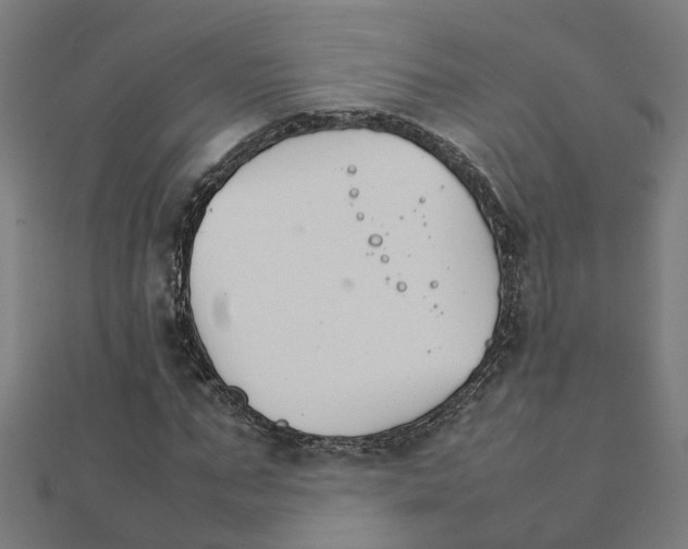X0000111230871200907301244