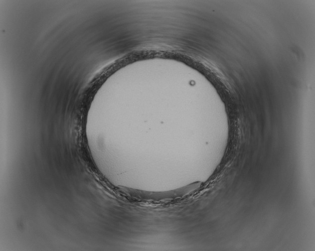 X0000111230872200907301244