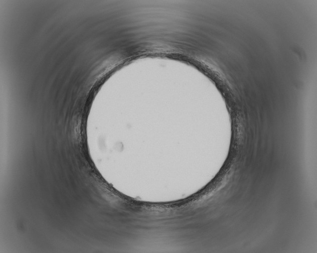 X0000111230873200907301244