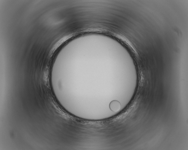 X0000111230874200907301244