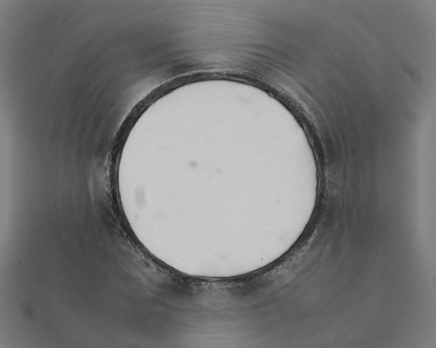 X0000111230875200907301244