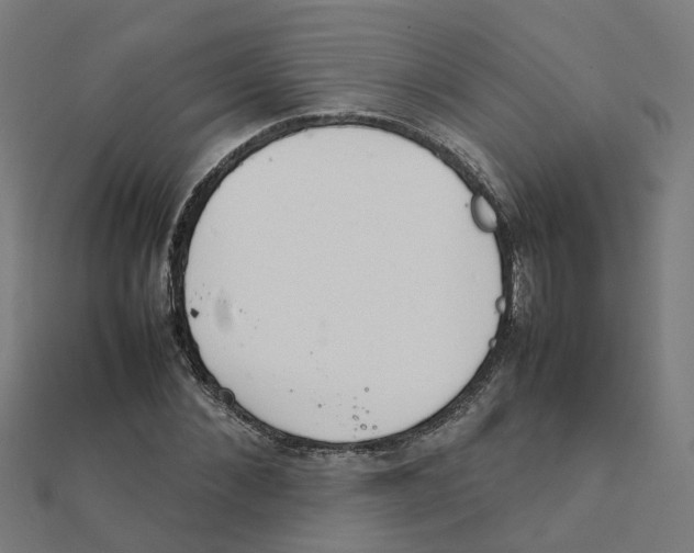 X0000111230876200907301244