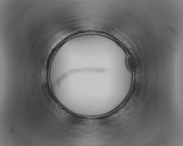 X0000111230877200907301244