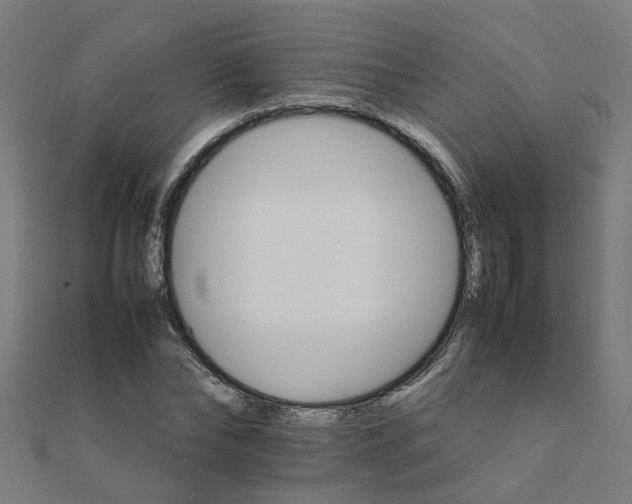 X0000111230878200907301244