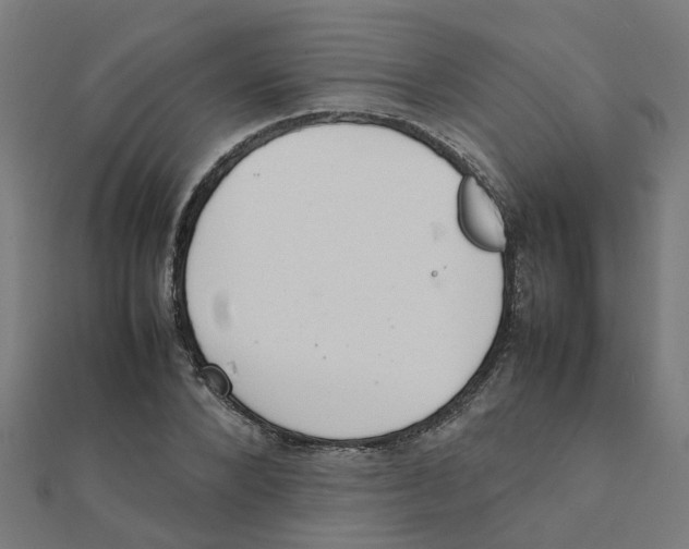 X0000111230880200907301244