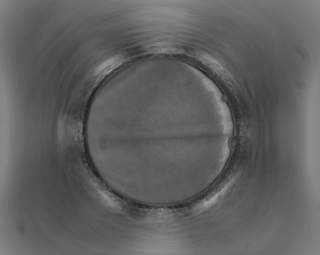X0000111230881200907301244
