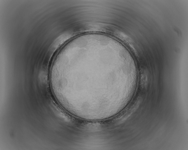 X0000111230882200907301244
