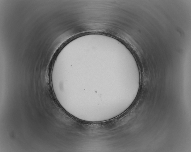 X0000111230883200907301244