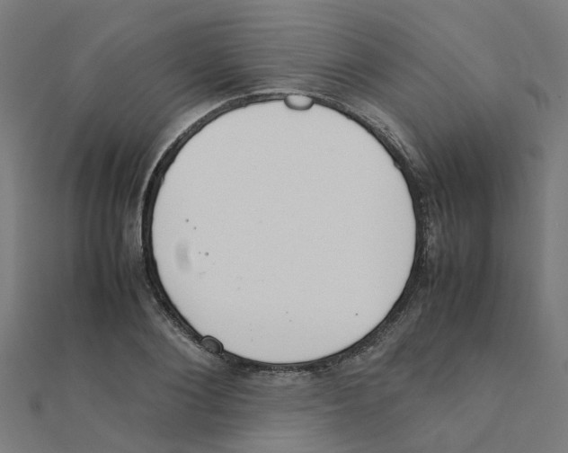 X0000111230884200907301244
