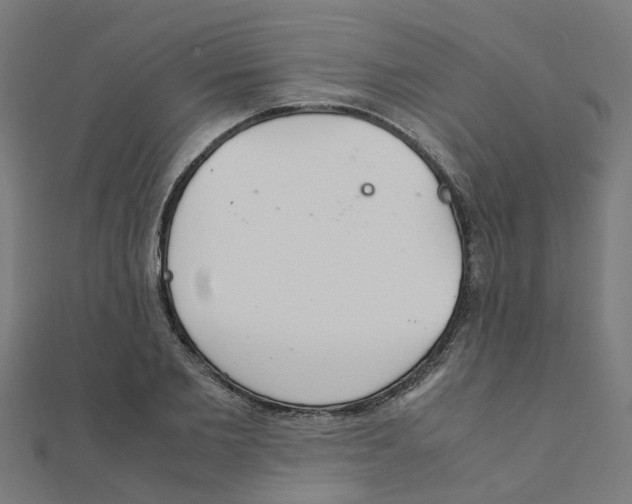X0000111230885200907301244