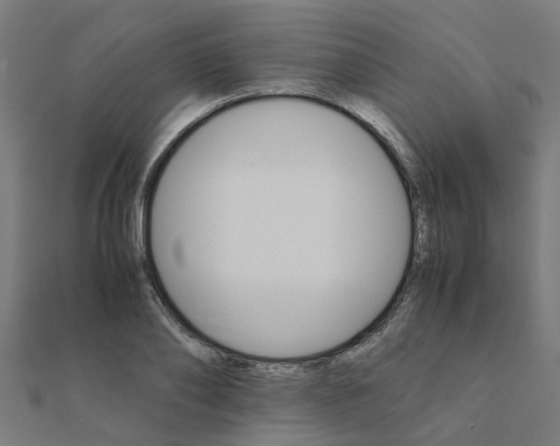 X0000111230886200907301244