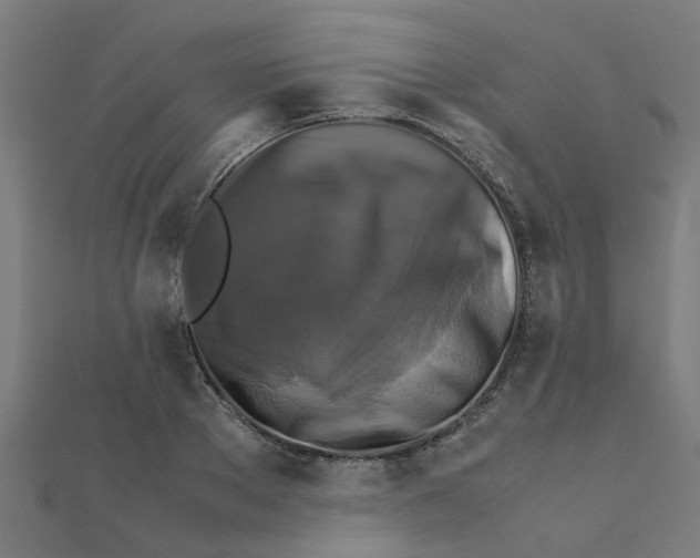 X0000111230889200907301244