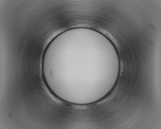 X0000111230890200907301244