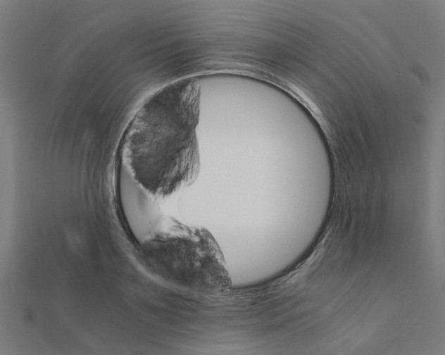 X0000111230891200907301244