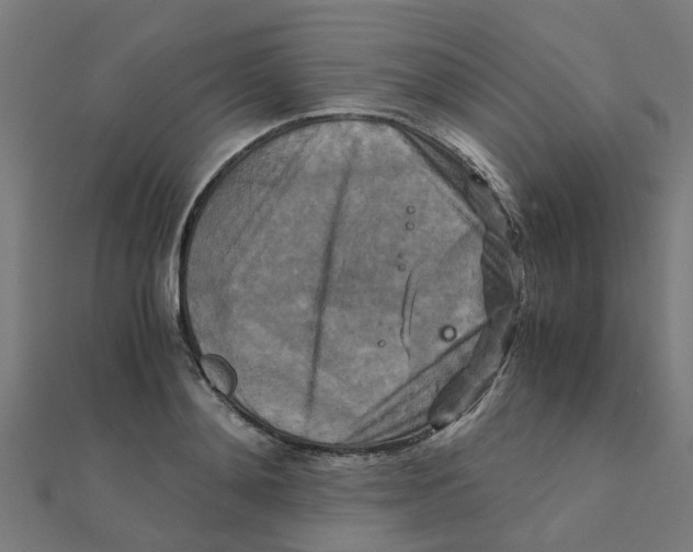 X0000111230892200907301244