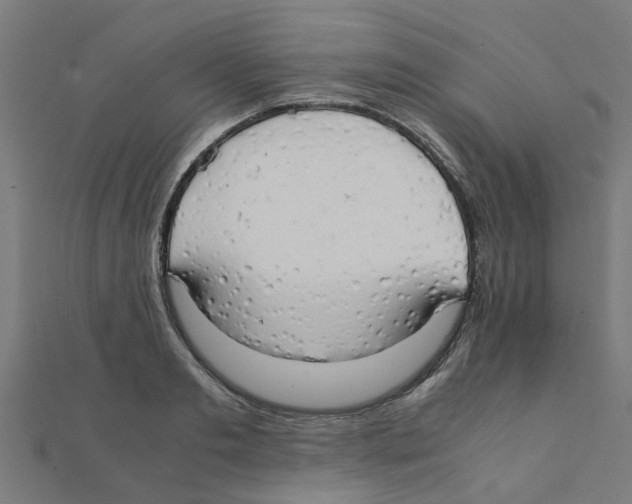 X0000111230893200907301244