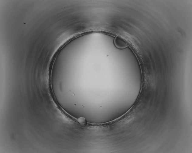 X0000111230894200907301243