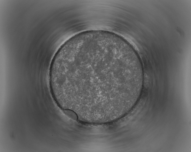 X0000111230895200907301243