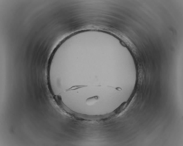 X0000111230896200907301243