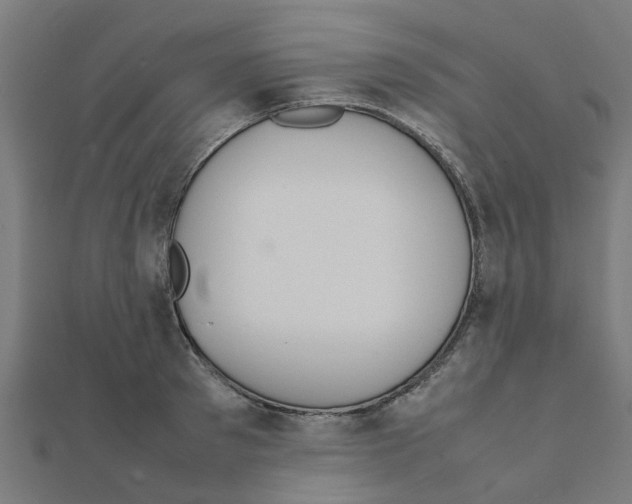 X0000111230897200907301243