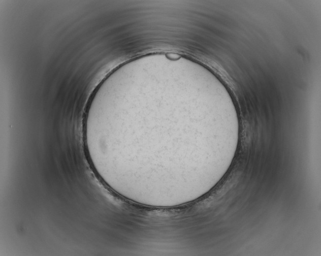 X0000111230898200907301243