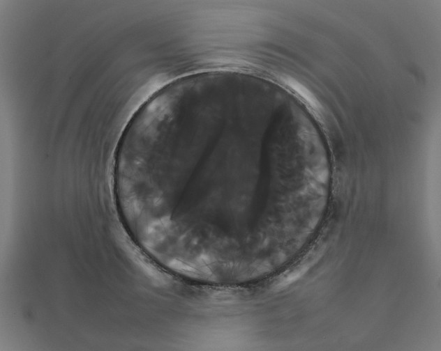 X0000111230899200907301243