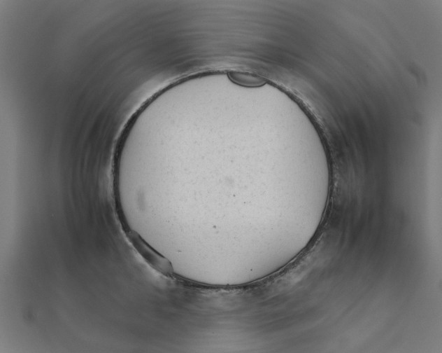 X0000111230902200907301243
