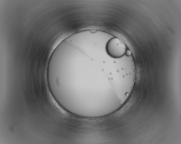X0000111230906200907301243