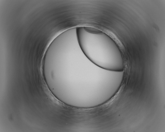 X0000111230908200907301243